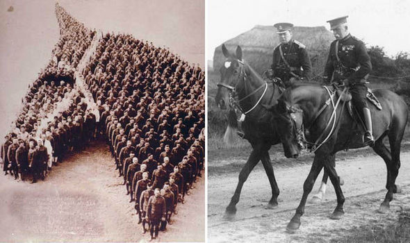 horses in ww1